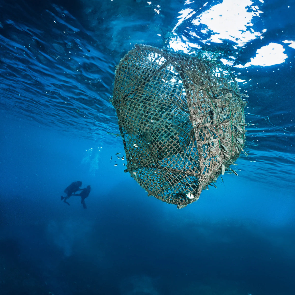 Ironclad Co. Ghost Knives