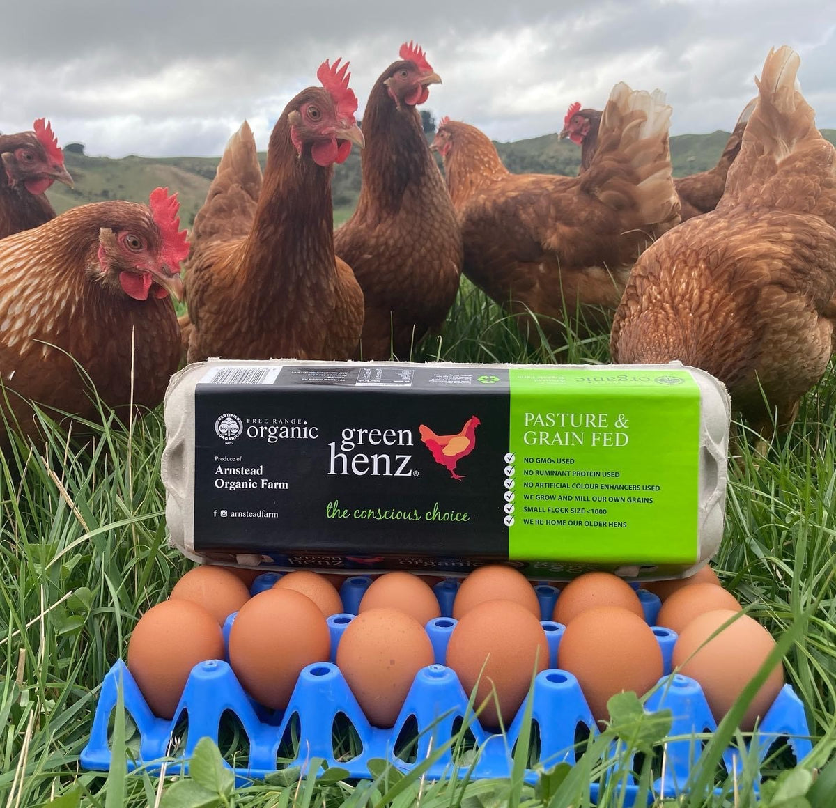 Green Henz Organic Eggs