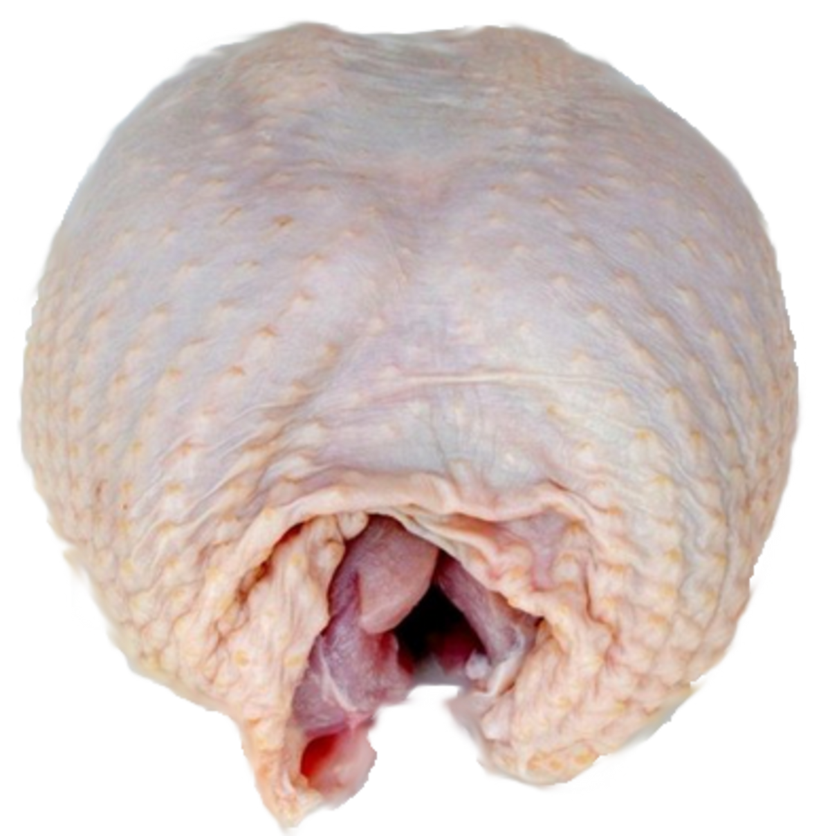 Canter Valley Free Range Turkey Breast