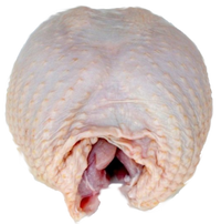 Canter Valley Free Range Turkey Breast