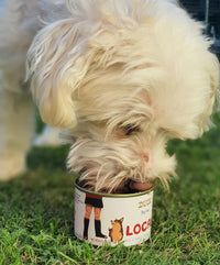 Local Pet Food